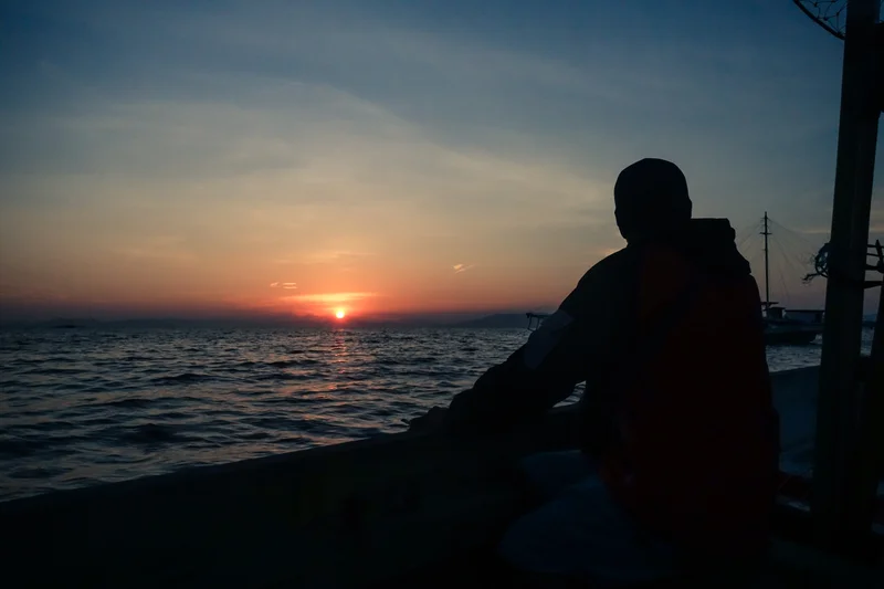 Whale Sharks of Saleh Bay