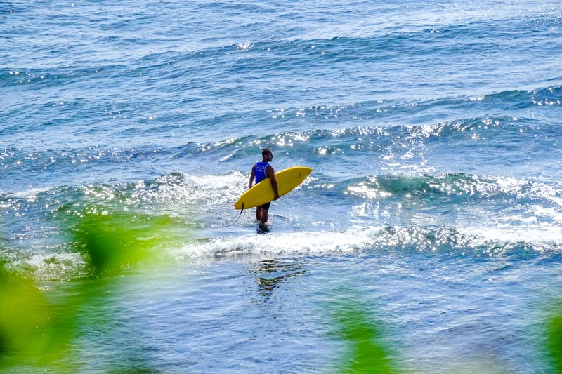 Uluwatu Single Fin Surf Classic 2020