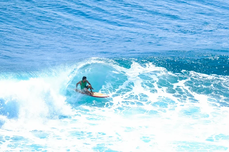 Uluwatu Single Fin Surf Classic 2020