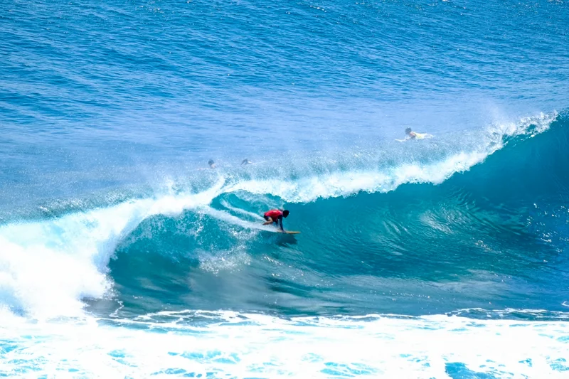 Uluwatu Single Fin Surf Classic 2020