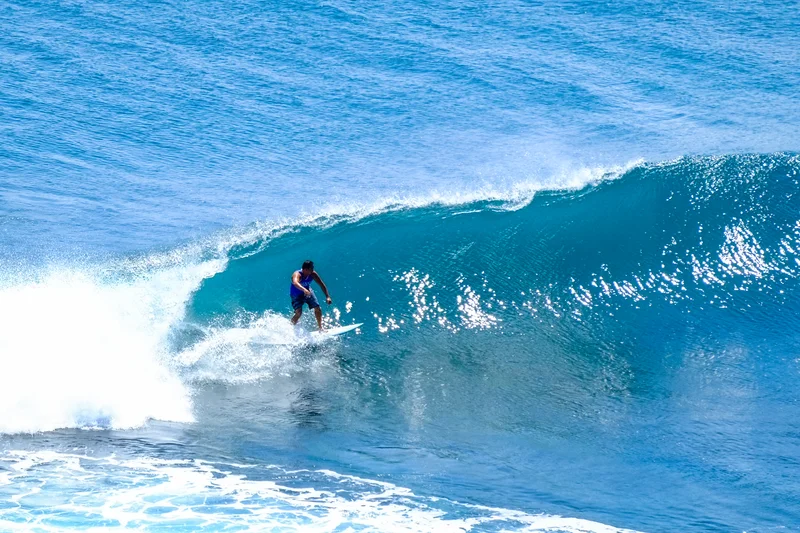 Uluwatu Single Fin Surf Classic 2020