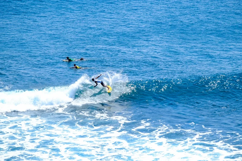 Uluwatu Single Fin Surf Classic 2020