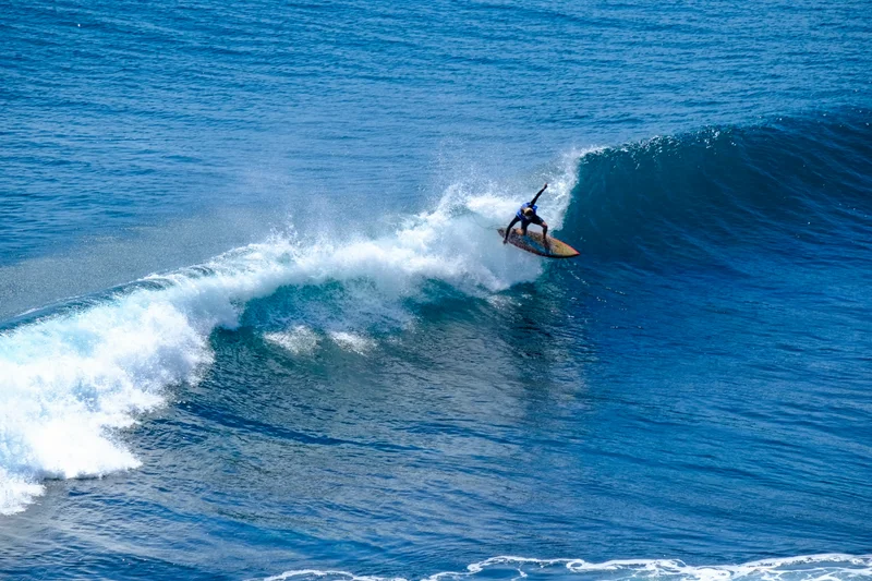 Uluwatu Single Fin Surf Classic 2020