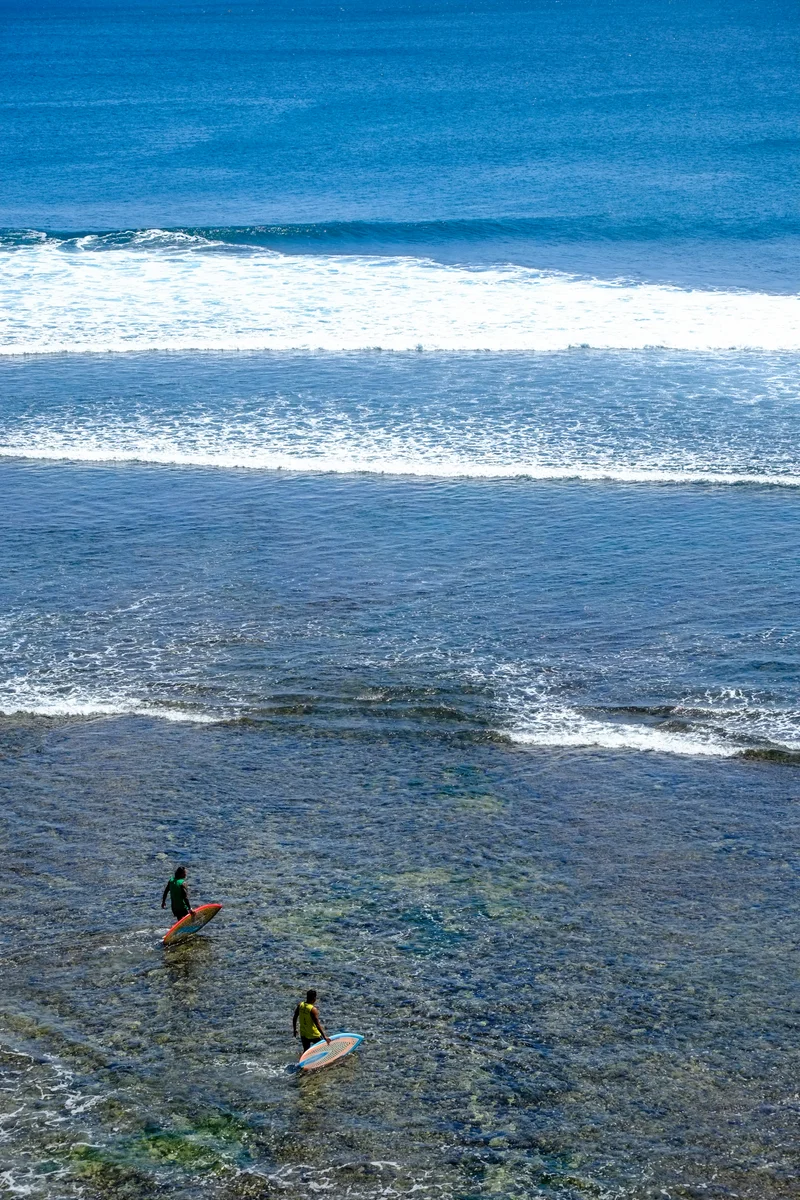 Uluwatu Single Fin Surf Classic 2020