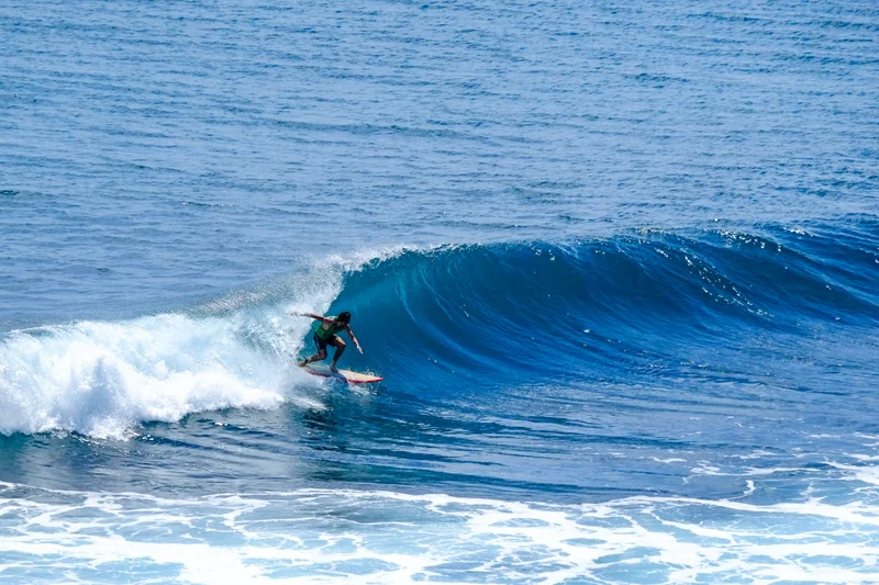 Uluwatu Single Fin Surf Classic 2020