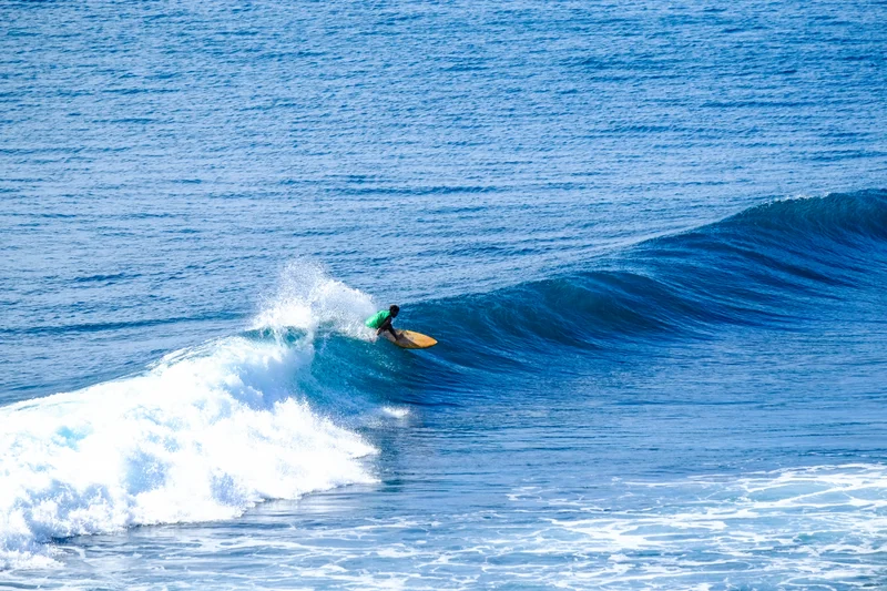 Uluwatu Single Fin Surf Classic 2020