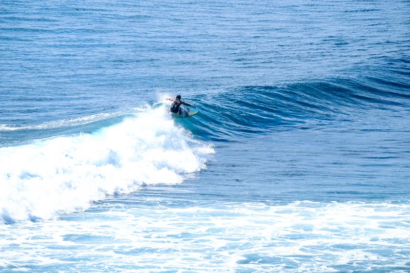 Uluwatu Single Fin Surf Classic 2020