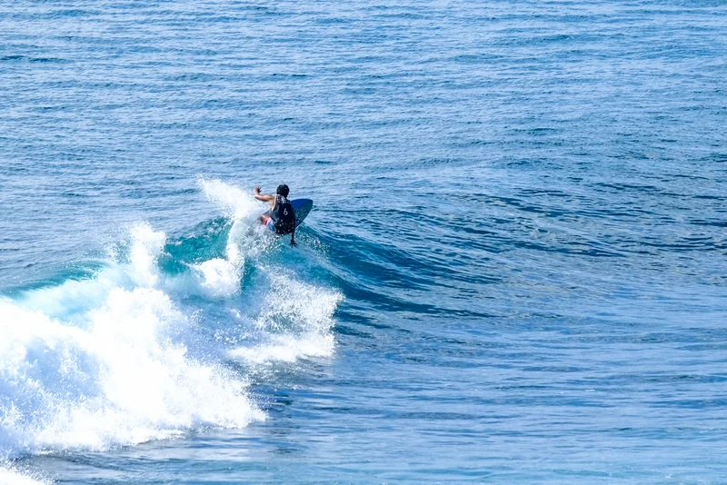 Uluwatu Single Fin Surf Classic 2020