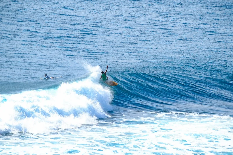 Uluwatu Single Fin Surf Classic 2020
