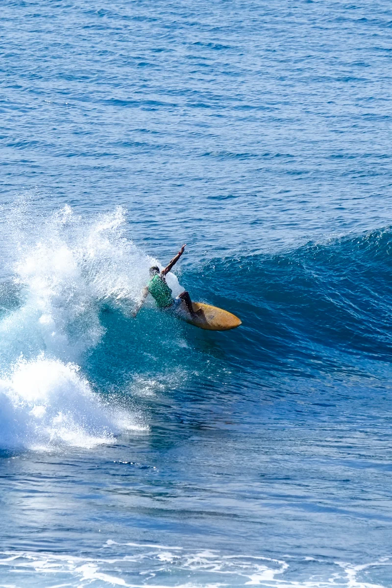 Uluwatu Single Fin Surf Classic 2020