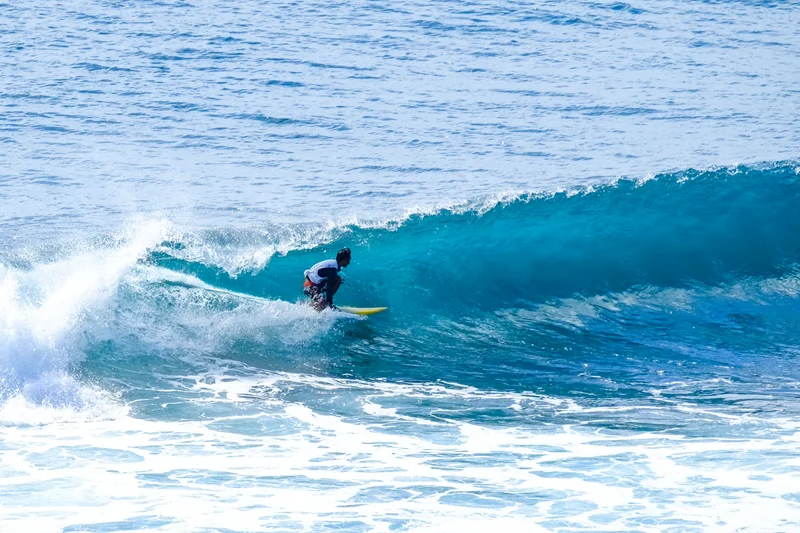 Uluwatu Single Fin Surf Classic 2020