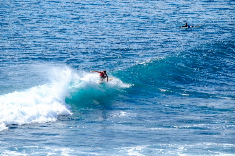Uluwatu Single Fin Surf Classic 2020