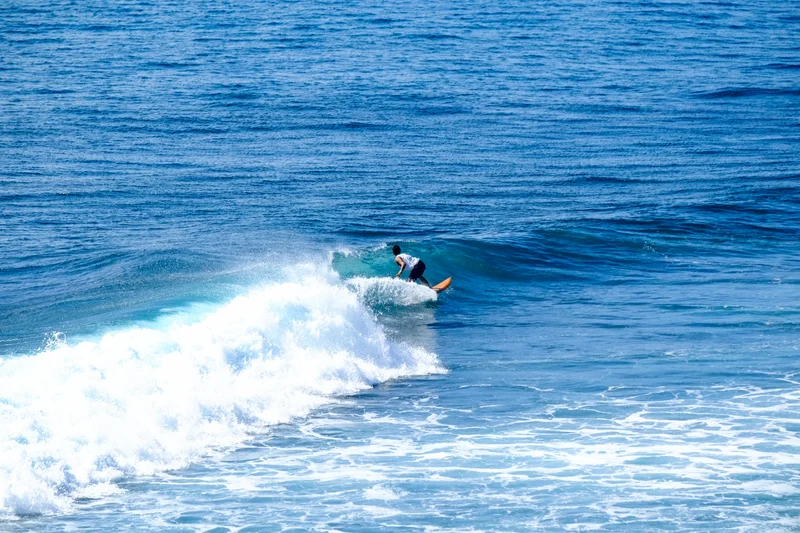 Uluwatu Single Fin Surf Classic 2020