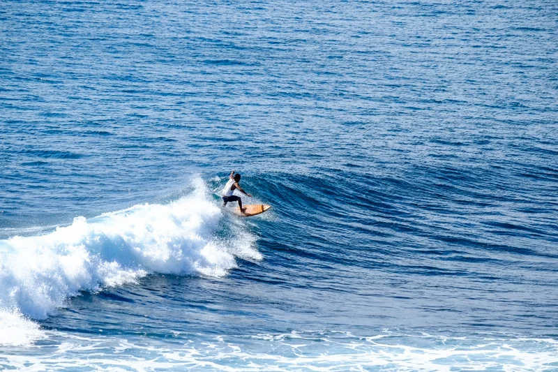 Uluwatu Single Fin Surf Classic 2020