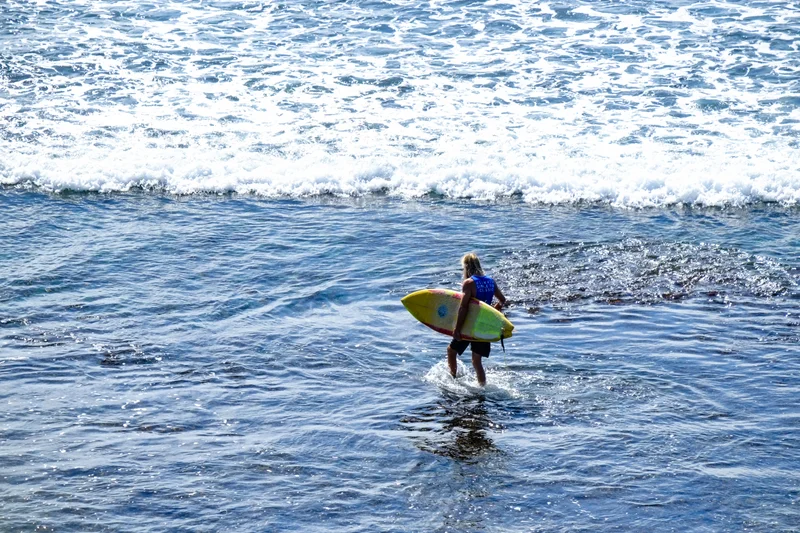 Uluwatu Single Fin Surf Classic 2020