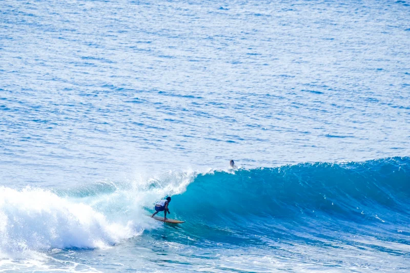 Uluwatu Single Fin Surf Classic 2020
