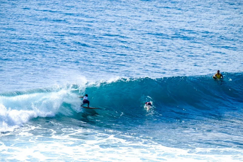 Uluwatu Single Fin Surf Classic 2020