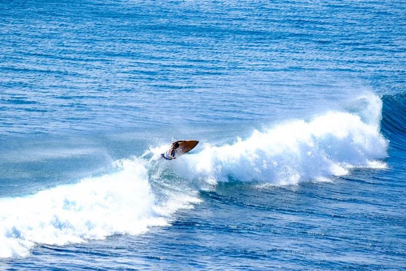 Uluwatu Single Fin Surf Classic 2020