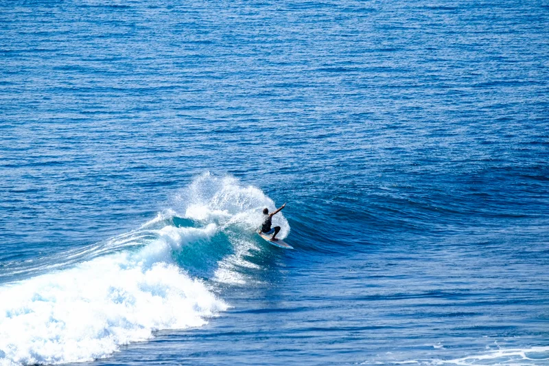 Uluwatu Single Fin Surf Classic 2020