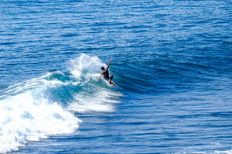 Uluwatu Single Fin Surf Classic 2020