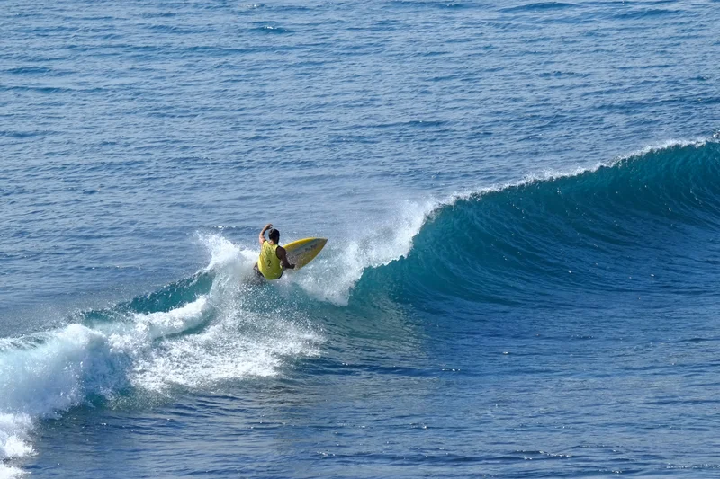 Uluwatu Single Fin Surf Classic 2020