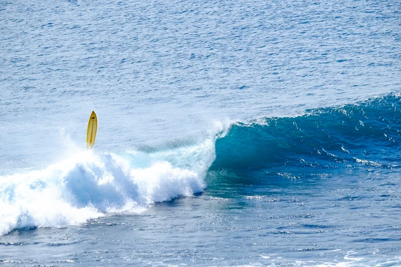 Uluwatu Single Fin Surf Classic 2020