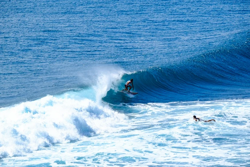 Uluwatu Single Fin Surf Classic 2020