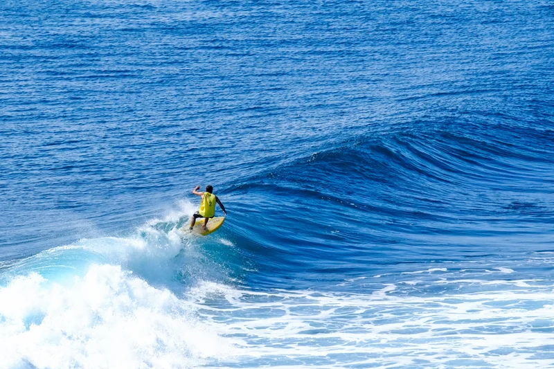 Uluwatu Single Fin Surf Classic 2020