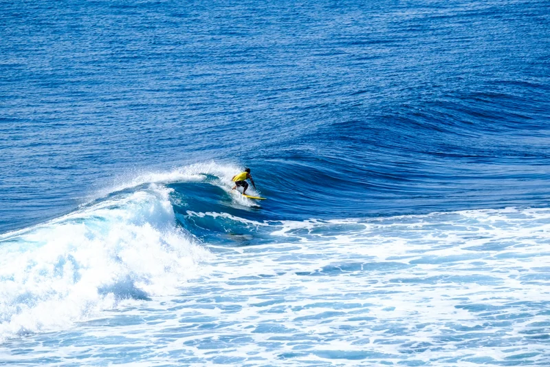 Uluwatu Single Fin Surf Classic 2020
