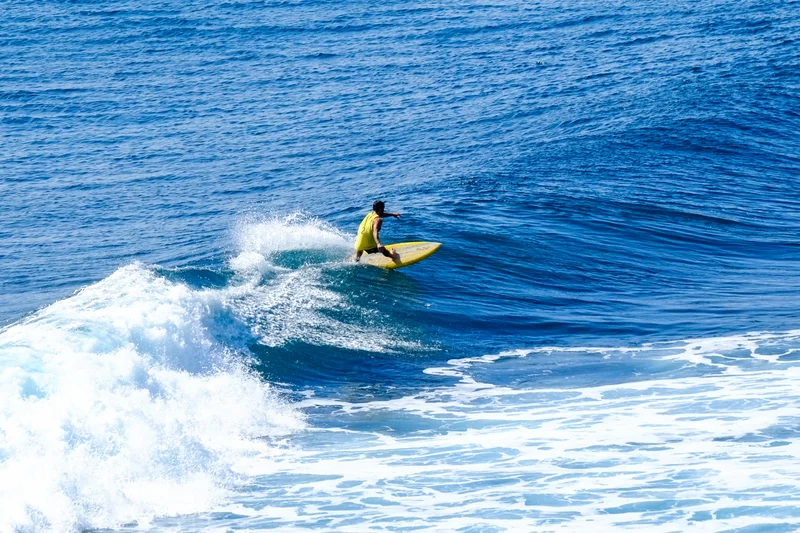 Uluwatu Single Fin Surf Classic 2020