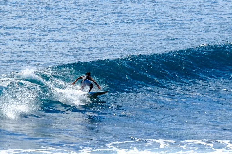 Uluwatu Single Fin Surf Classic 2020