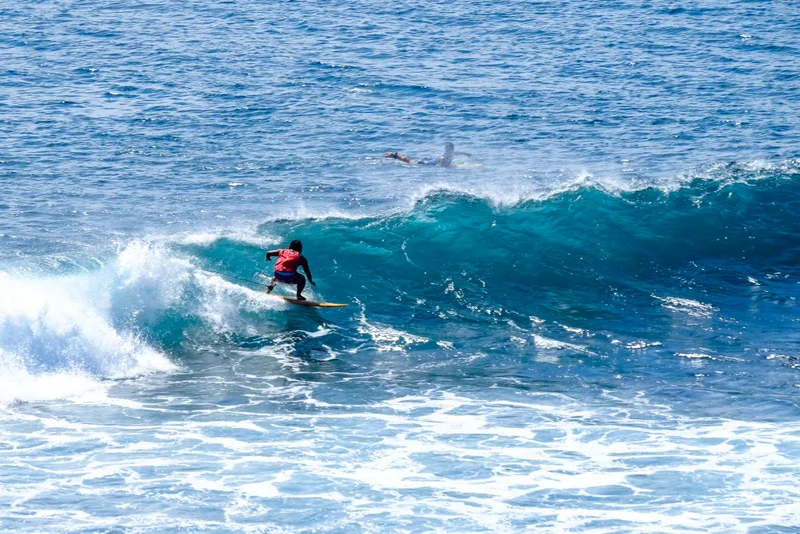 Uluwatu Single Fin Surf Classic 2020