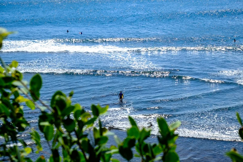 Uluwatu Single Fin Surf Classic 2020