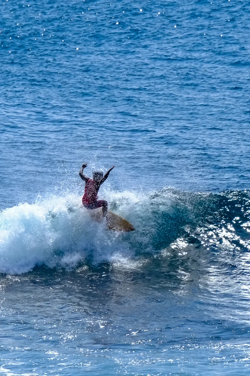 Uluwatu Single Fin Surf Classic 2020