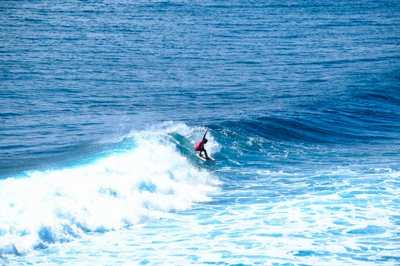 Uluwatu Single Fin Surf Classic 2020