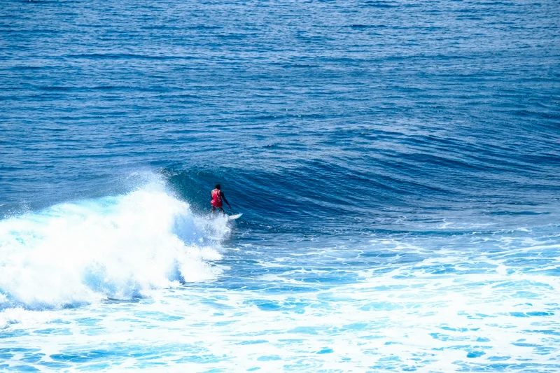 Uluwatu Single Fin Surf Classic 2020