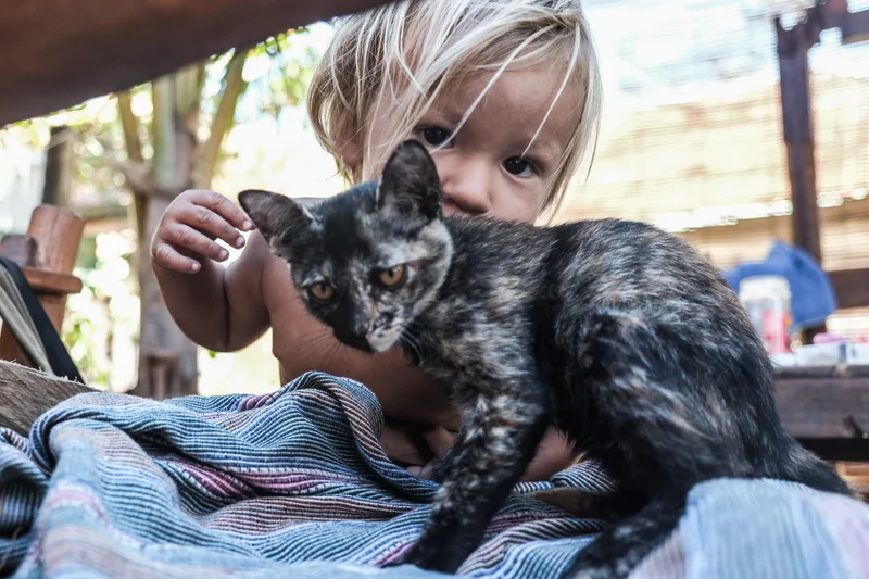Gili Strong - August 2018